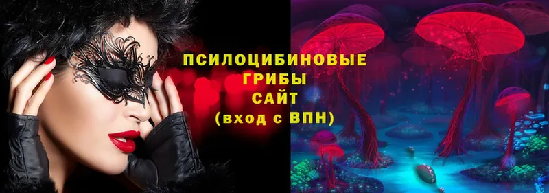 где купить наркоту  нарко площадка какой сайт  Псилоцибиновые грибы MAGIC MUSHROOMS  Вилюйск 